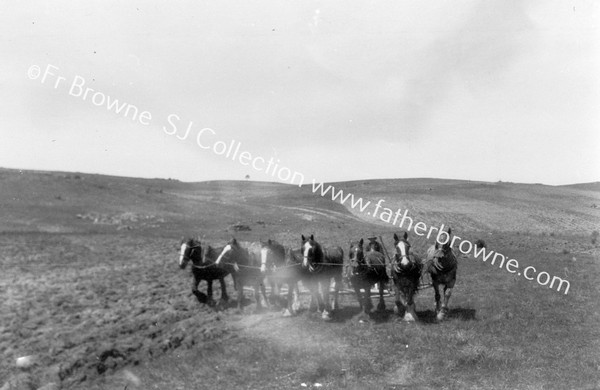 PLOUGHING WITH 7 HORSE POWER